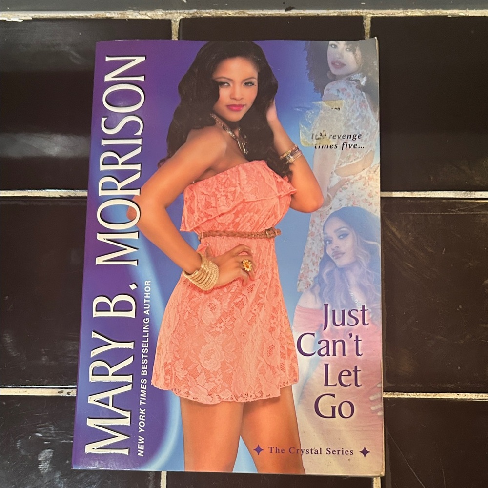 Mary B. Morrison "Just Can't Let Go" Paperback - Coral Dress Cover
